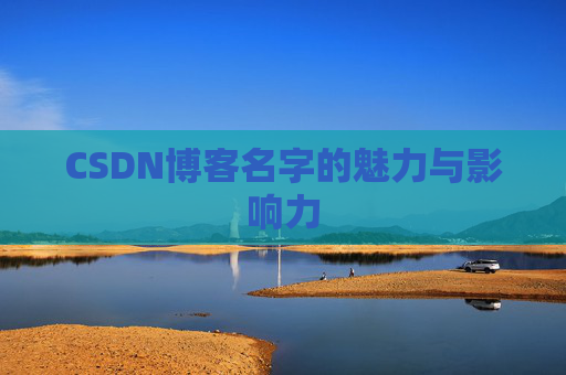 CSDN博客名字的魅力与影响力